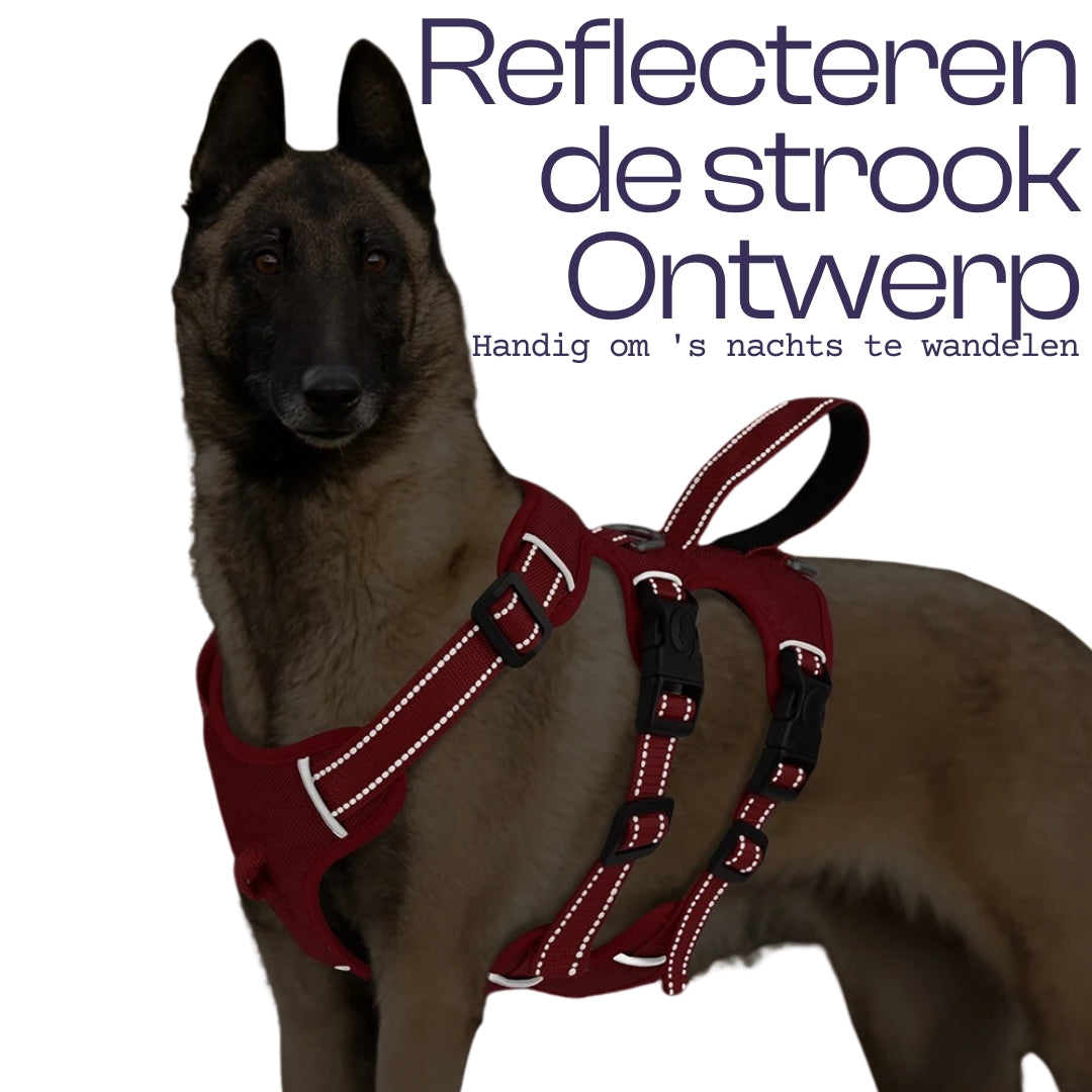 Harnais Anti-Evasion pour Chien avec 3 Points de Fixation Réfléchissants