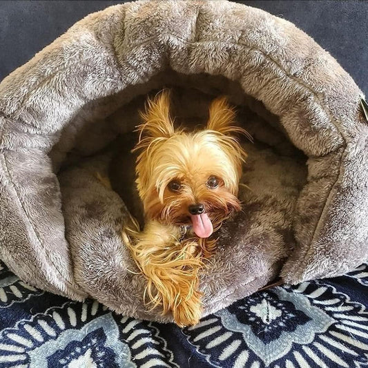 Lit pour Chien Douillet