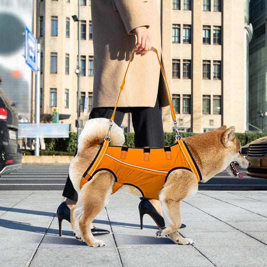 Harnais de Soutien pour Chiens en Récupération d'Arthrose & d'Opérations