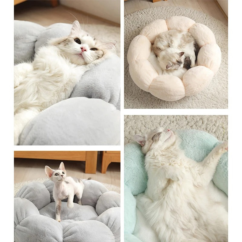 Coussin pour Chat en Forme de Fleur Auto-chauffant Lavable et Universel pour Toutes les Saisons
