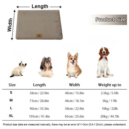 Coussin Orthopédique pour Chiens avec Housse Lavable