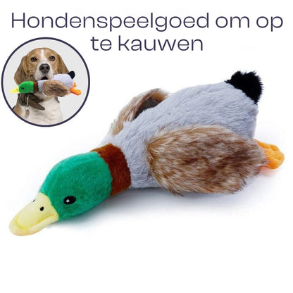 Canard en Peluche Jouet à Mordre Bruits Sifflants Soins Dentaires Durable Sûr pour Chiens