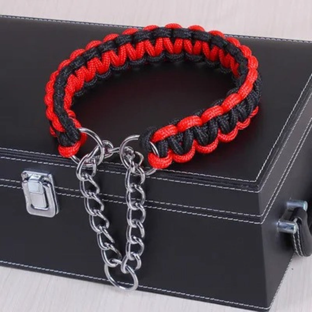 Collier en Nylon Tissé pour Chien Résistant