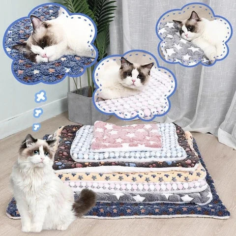 Couverture en Fleece Douce pour Chiens