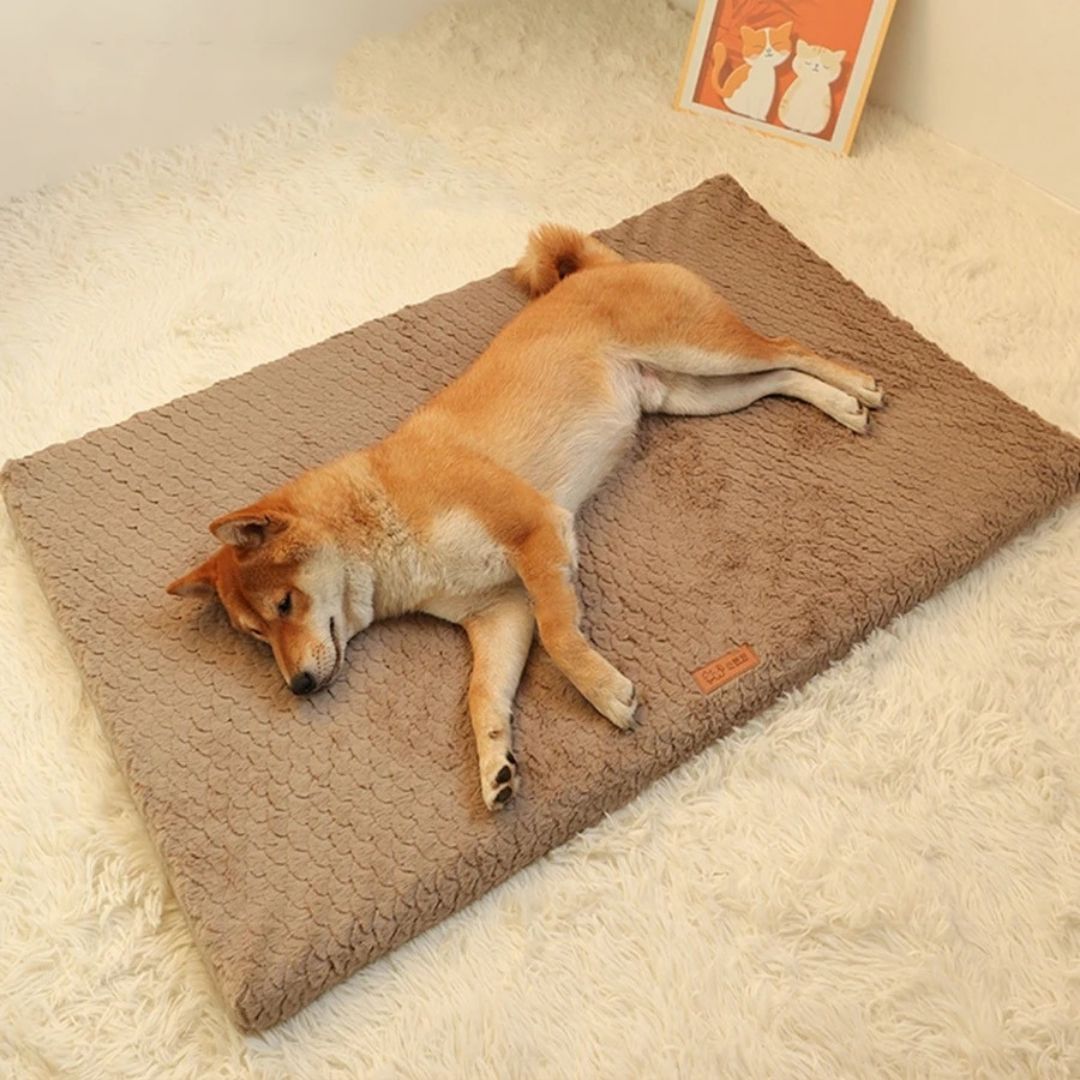 Coussin Orthopédique pour Chiens avec Housse Lavable