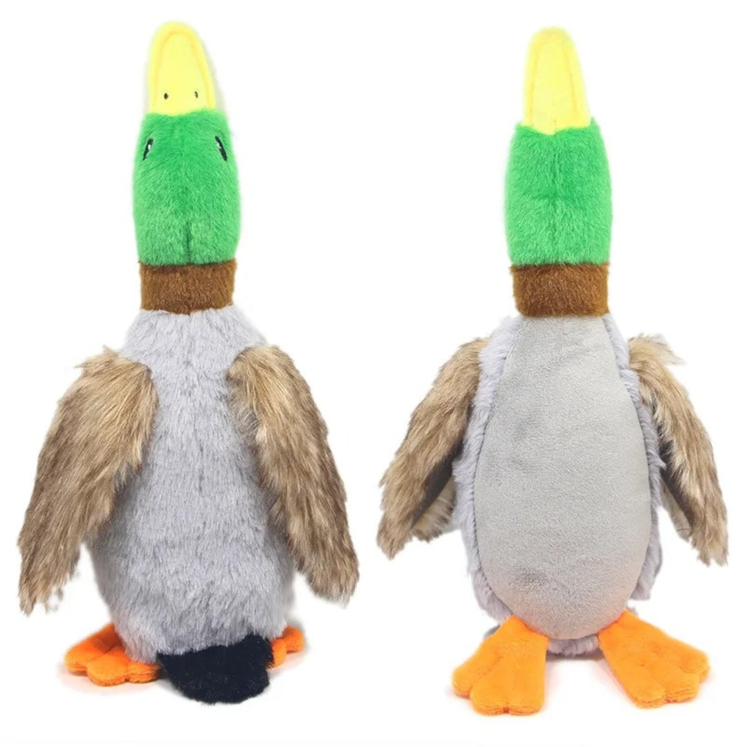 Canard en Peluche Jouet à Mordre Bruits Sifflants Soins Dentaires Durable Sûr pour Chiens