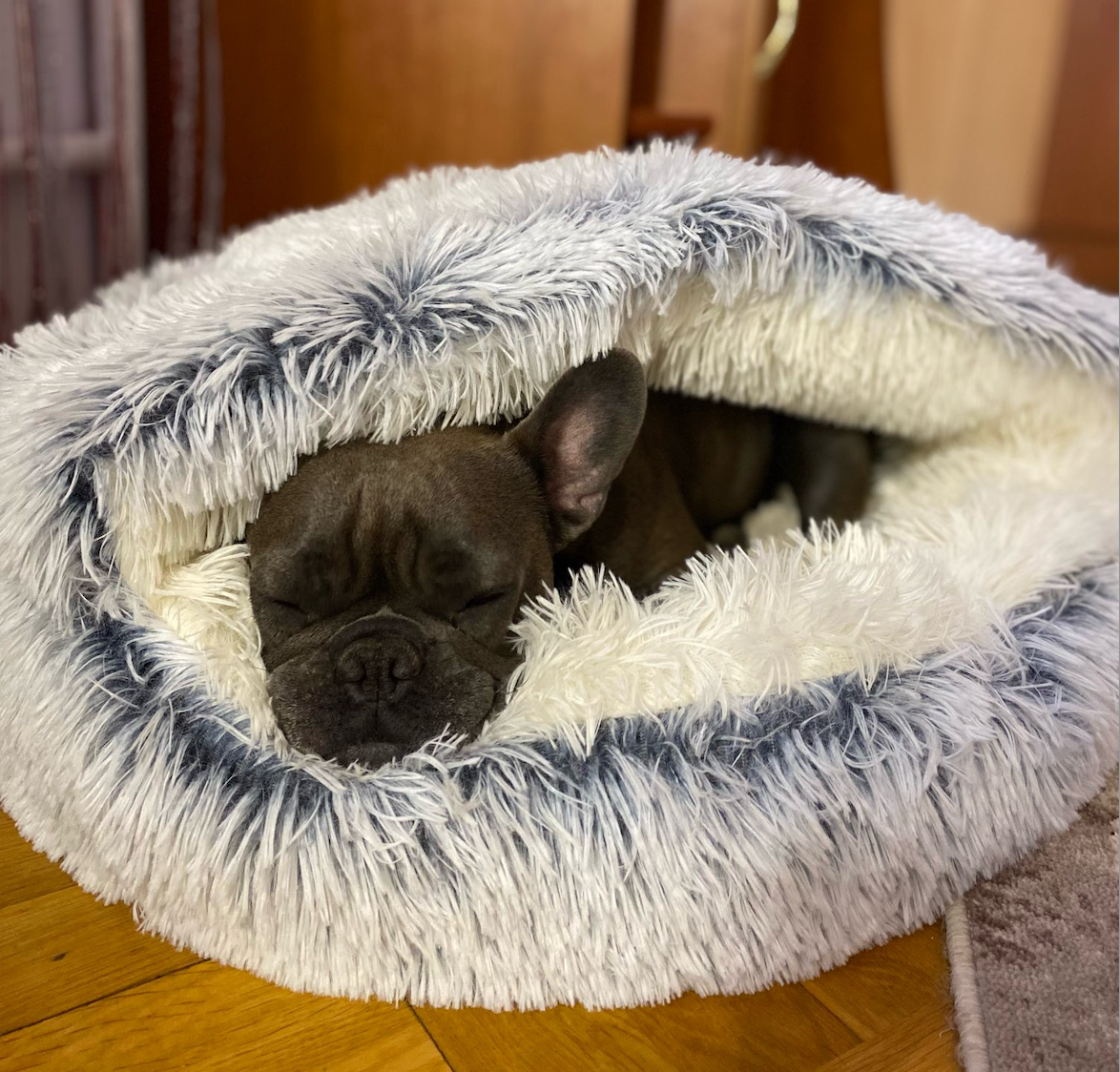 Cozycave Knuffelbed WoofSpot™ | Lit pour chien de confort premium