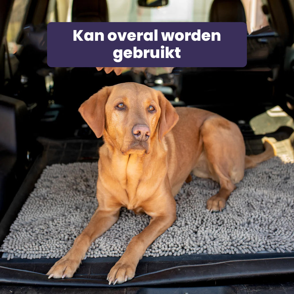 Tapis CleanPaw | Tapis de Propreté pour Chiens