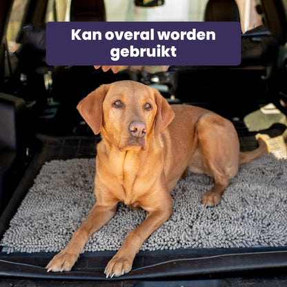 Tapis CleanPaw | Tapis de Propreté pour Chiens