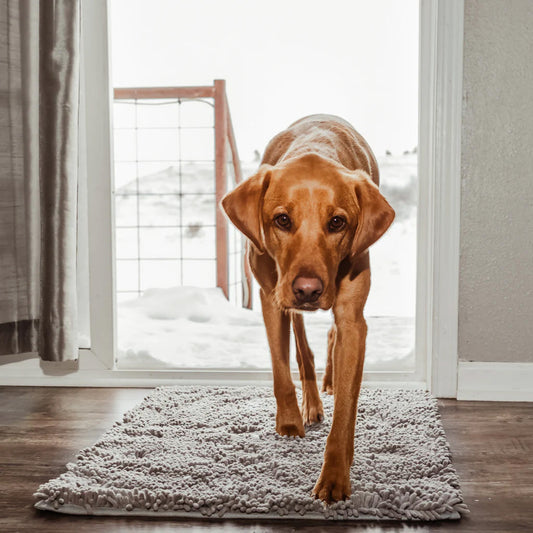 Tapis CleanPaw | Tapis de Propreté pour Chiens