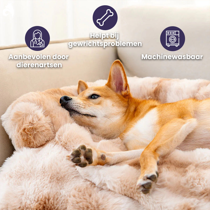 Canapé Convertible Douillet Pour Chiens