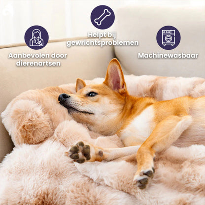 Canapé Convertible Douillet Pour Chiens