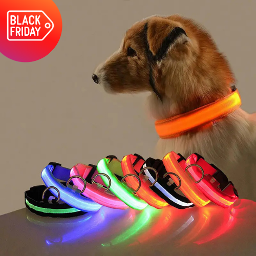 Collier LED réglable