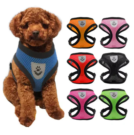 PawFit™ | Le harnais avec laisse pour chiens et chats