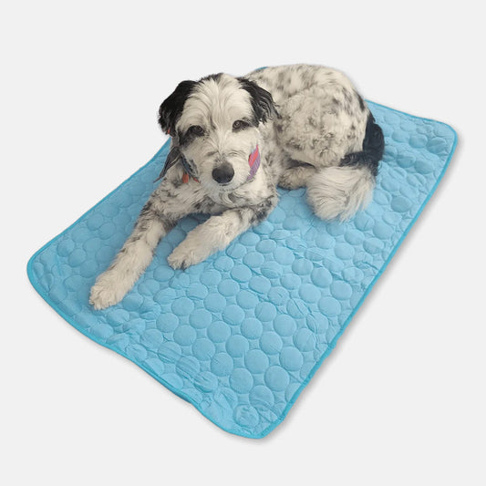 Ruffy Tapis Auto-Rafraîchissant pour Chiens avec Côté Glacé Lavable et Pliable pour les Jours d'Été