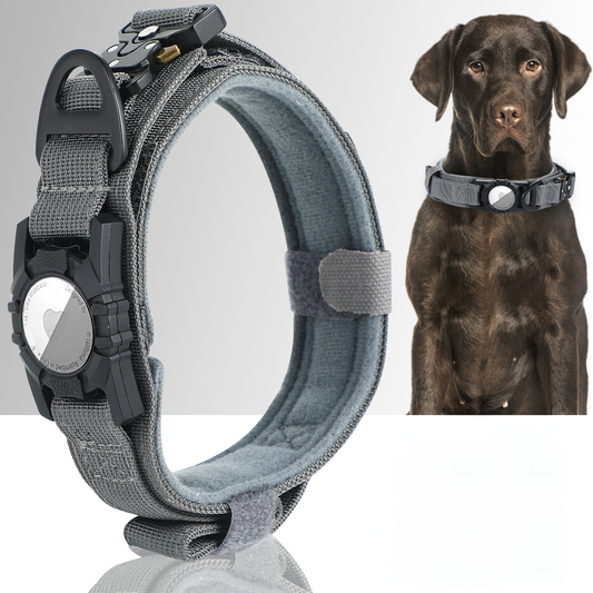Collier de Chien Solide et Tactique avec Support pour Air Tag