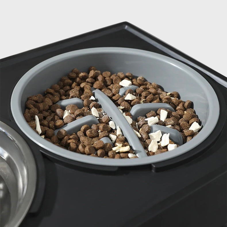 BowWow™ | Gamelle pour chien réglable en hauteur avec option de nourriture lente