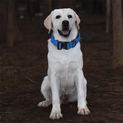 Collier d'entraînement lourd pour chiens avec poignée extra fort