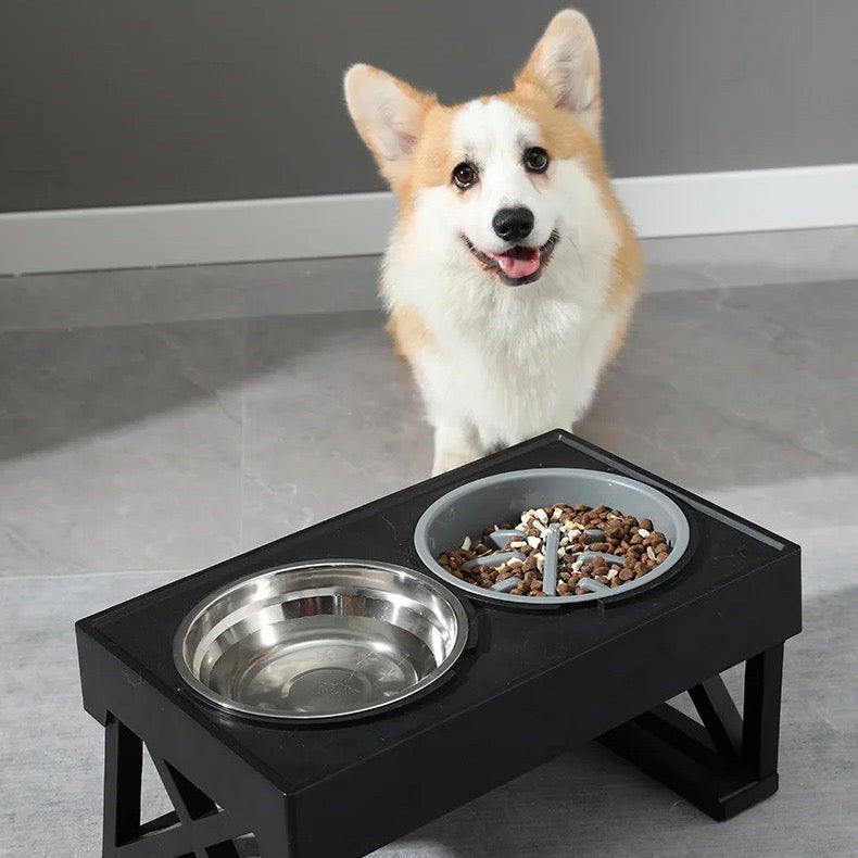 BowWow™ | Gamelle pour chien réglable en hauteur avec option de nourriture lente