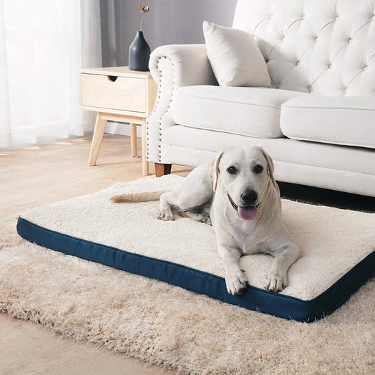 Grand Lit pour Chien en Mousse à Mémoire de Forme