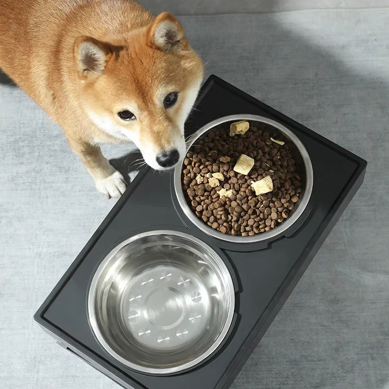 BowWow™ | Gamelle pour chien réglable en hauteur avec option de nourriture lente