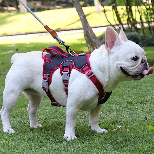 Harnais Anti-Évasion Réglable avec Poignée Réfléchissant