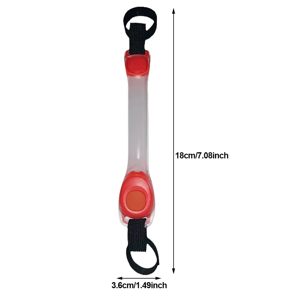 Collier LED de Sécurité Lumineux pour Chiens