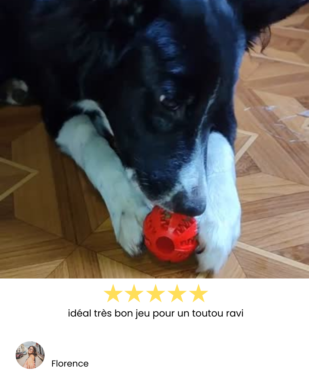 Balle à mâcher