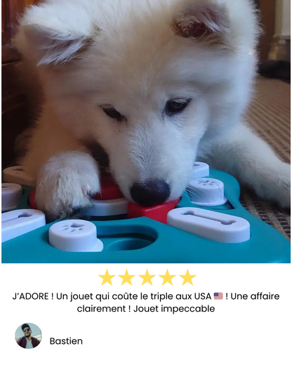 Puzzle friandises chien
