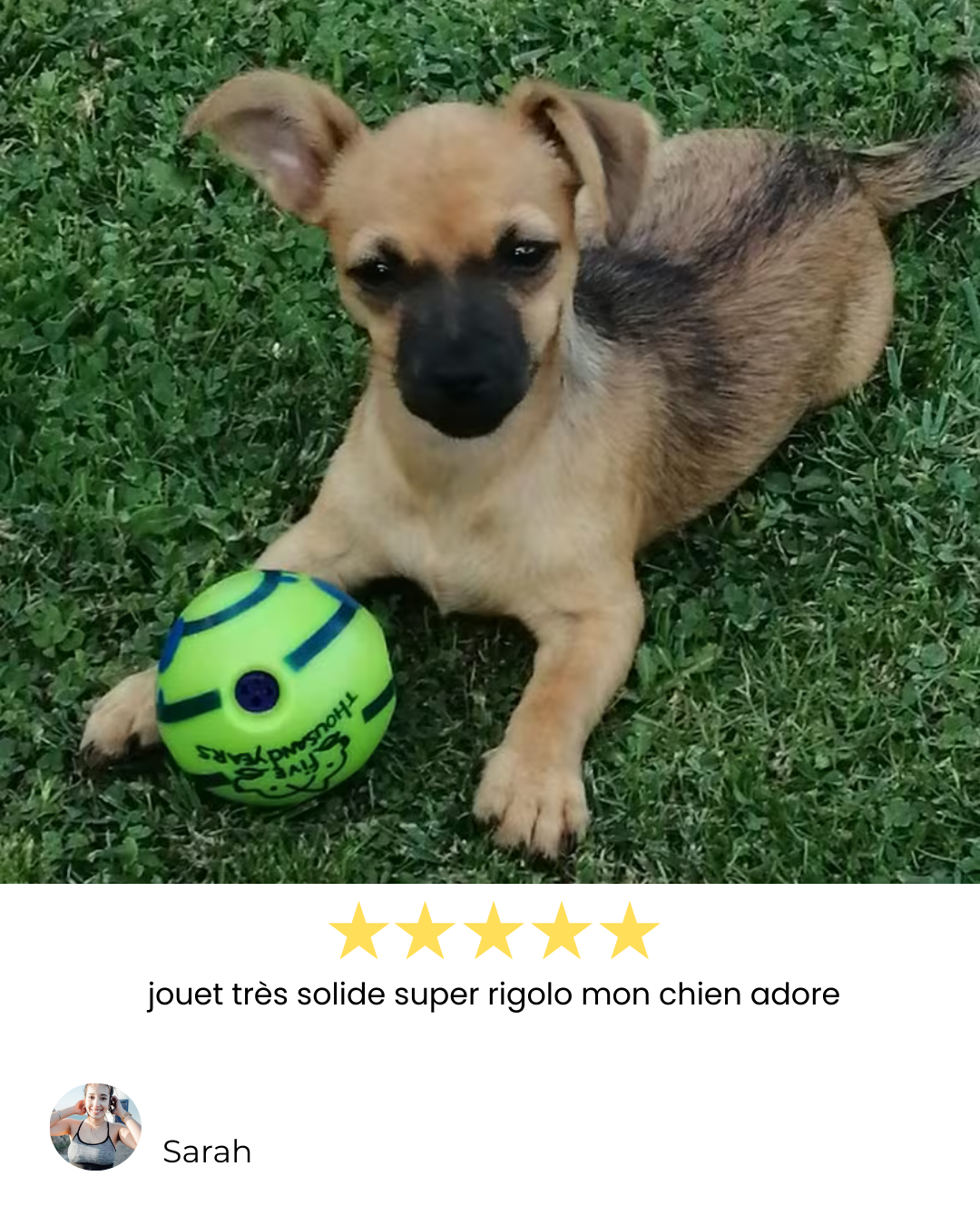 Balle jouet indestructible