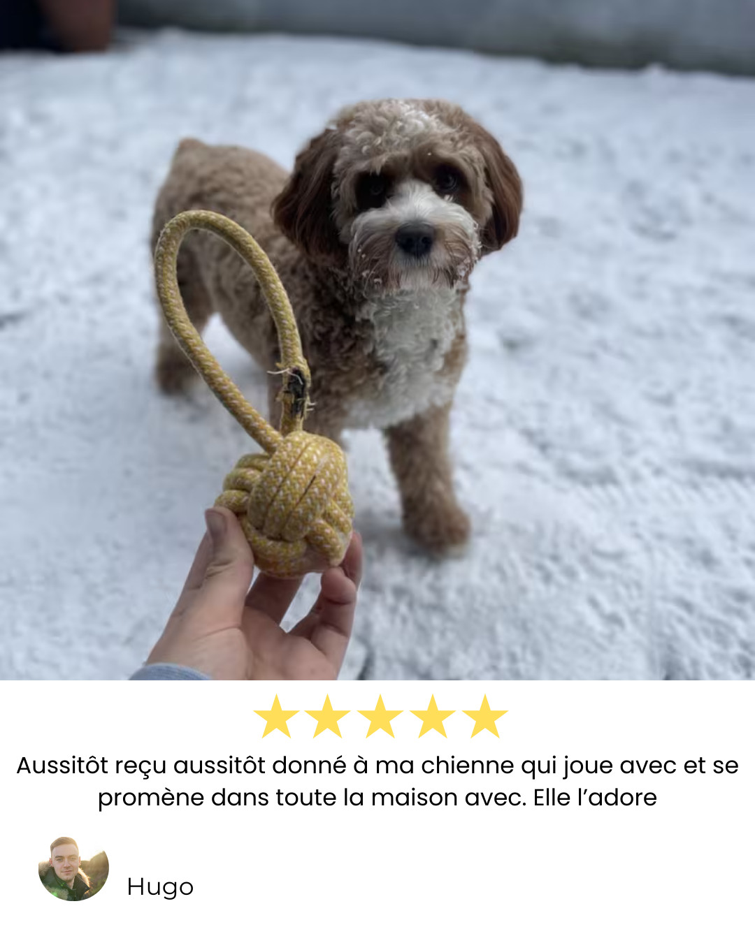 Balle corde à tirer
