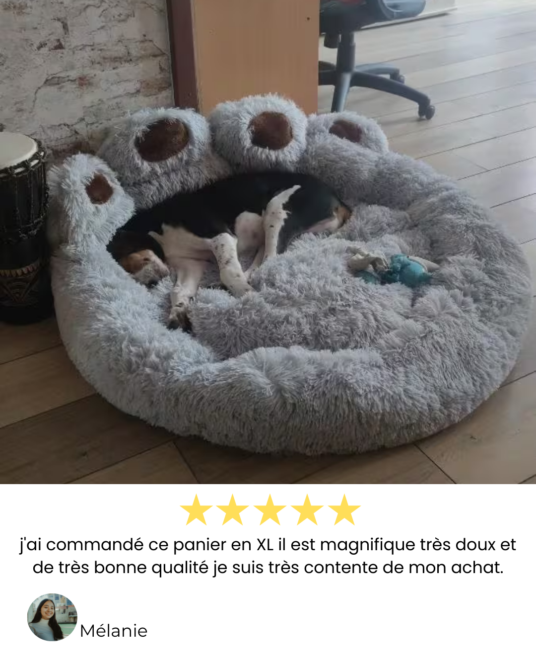 Panier d’hiver doux