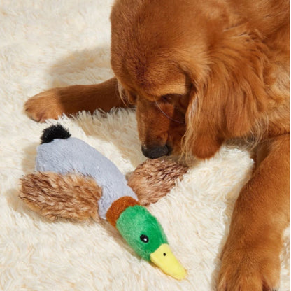 Canard en Peluche Jouet à Mordre Bruits Sifflants Soins Dentaires Durable Sûr pour Chiens