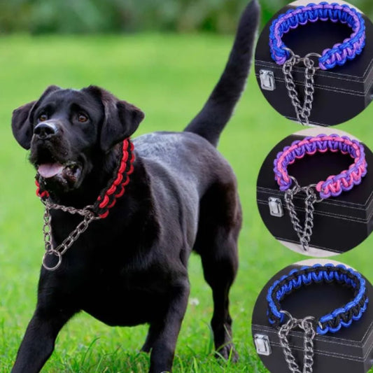 Collier en Nylon Tissé pour Chien Résistant