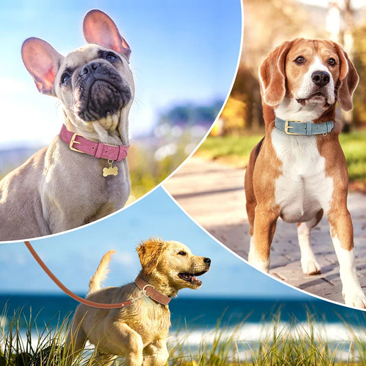 Collier Pour Chien En Cuir Doux Durable