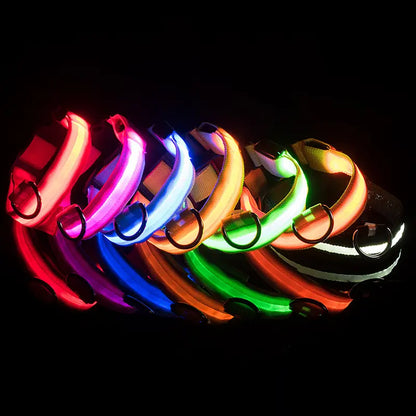 Collier LED réglable