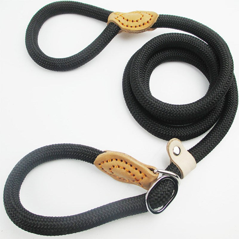 Ceinture anti-traction tressée durable pour chiens
