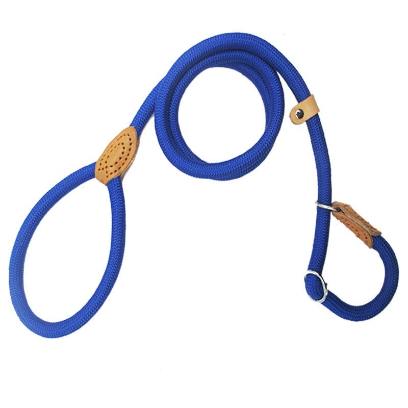 Ceinture anti-traction tressée durable pour chiens