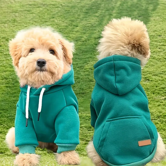 Pull-over pour chien