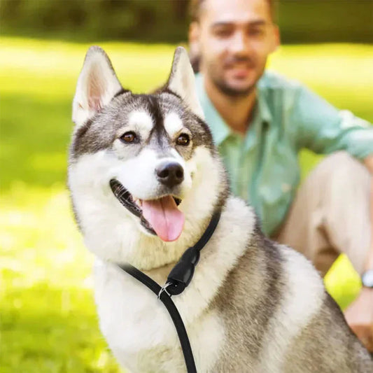 Collier anti-traction durable pour chiens