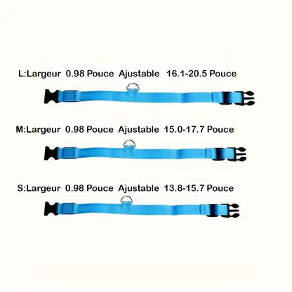 Collier LED réglable