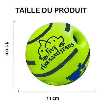 Balle jouet indestructible