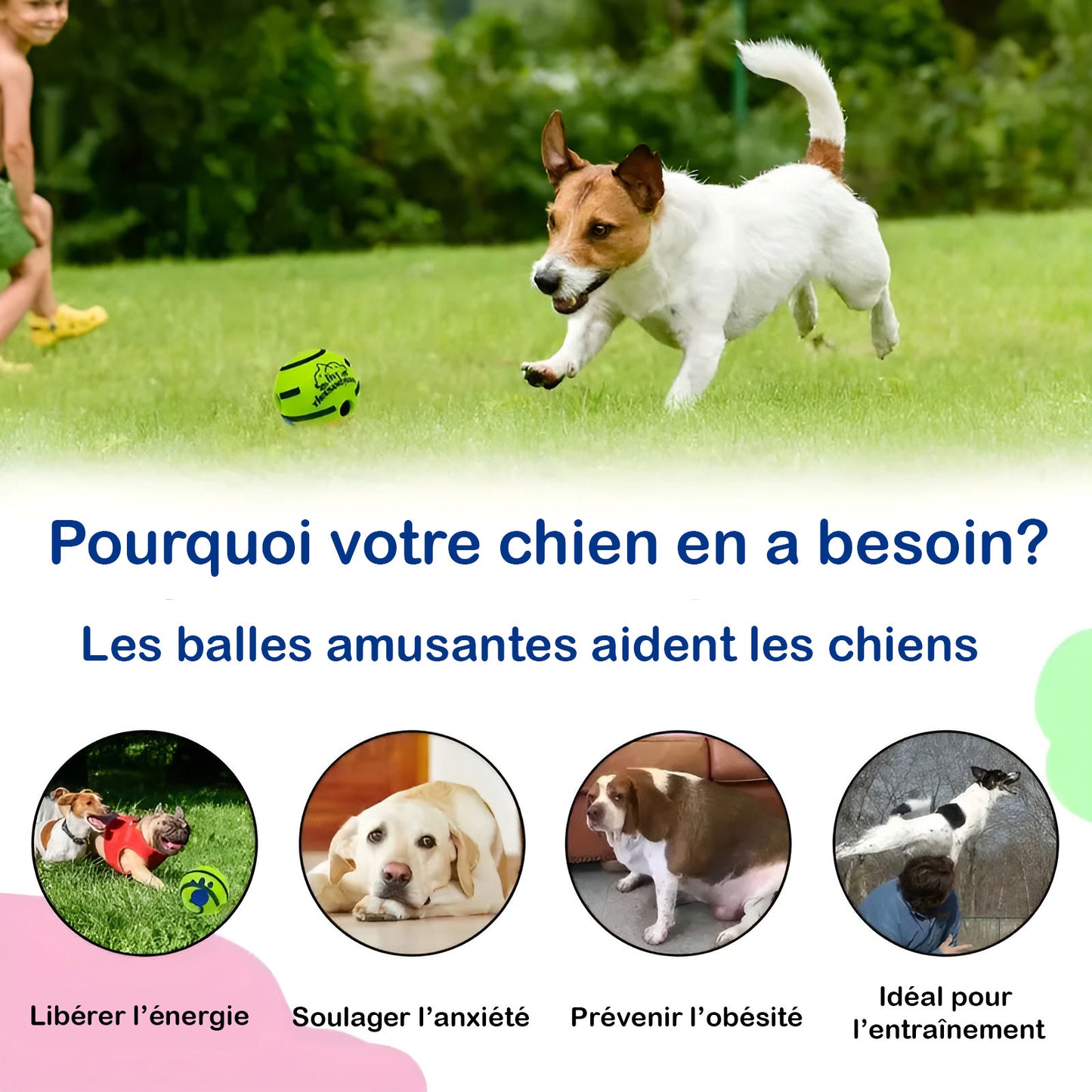 Balle jouet indestructible