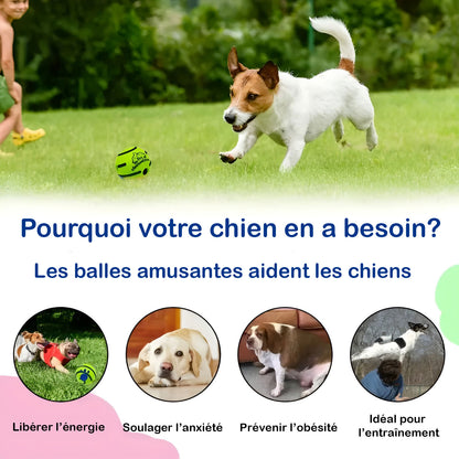 Balle jouet indestructible