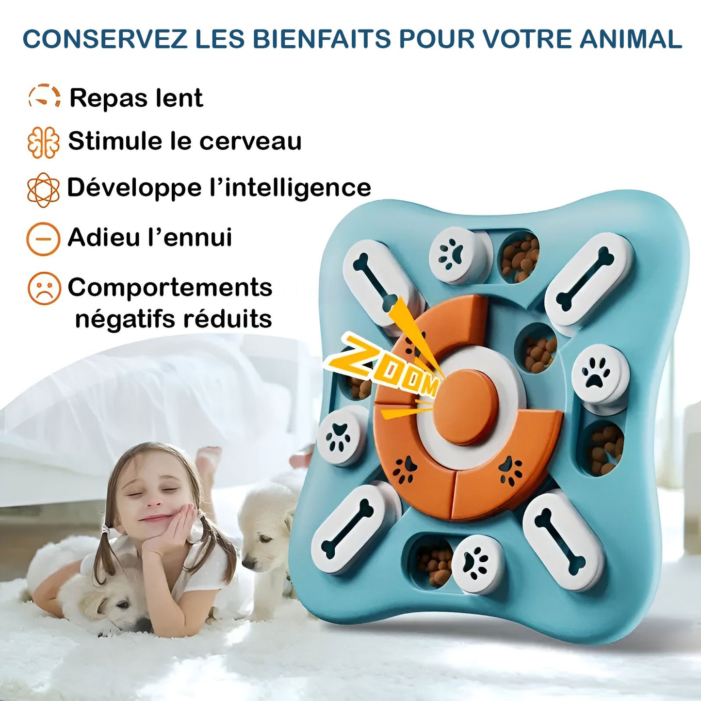 Puzzle friandises chien