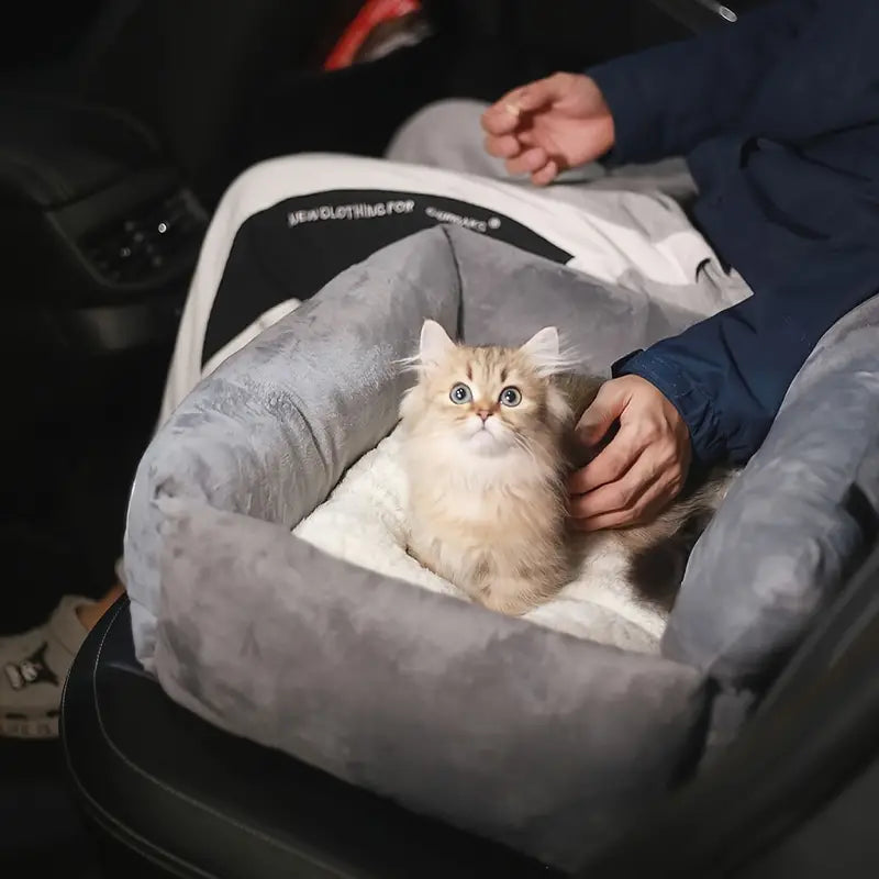 Rehausseur de Siège Auto en Peluche pour Chiens Confortable et Sûr avec Housse Lavable en Machine