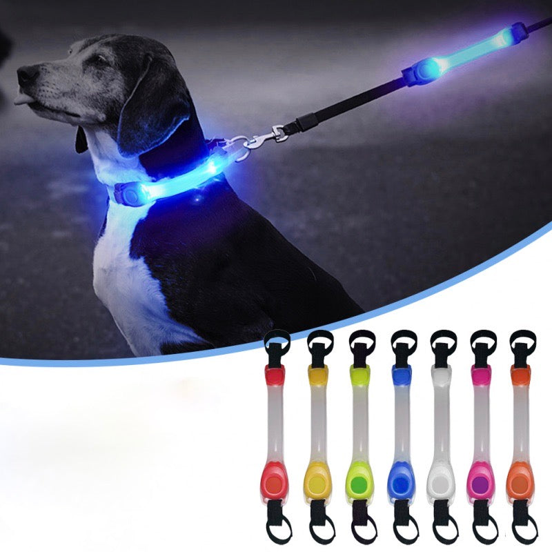 Collier LED de Sécurité Lumineux pour Chiens