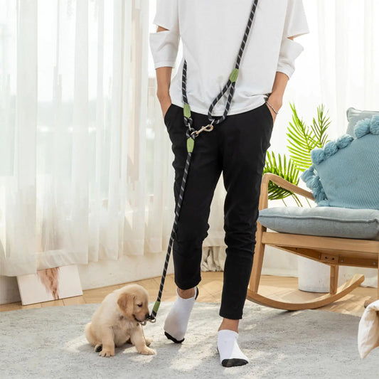 Laisse de chien mains libres en nylon – Promenade facile