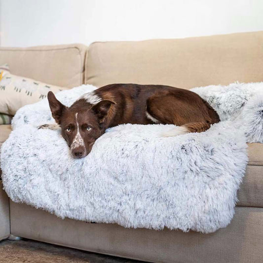 Protection de Canapé Douce Apaisante pour Lit de Chien