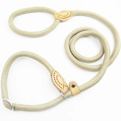 Ceinture anti-traction tressée durable pour chiens